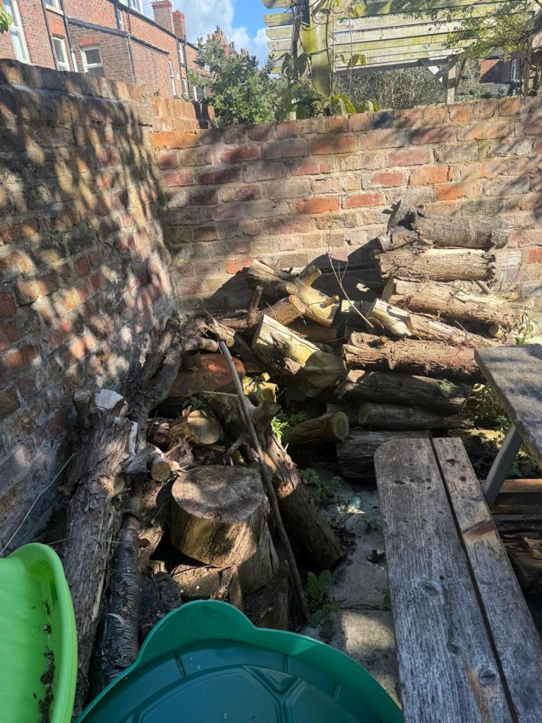 Dry logs 