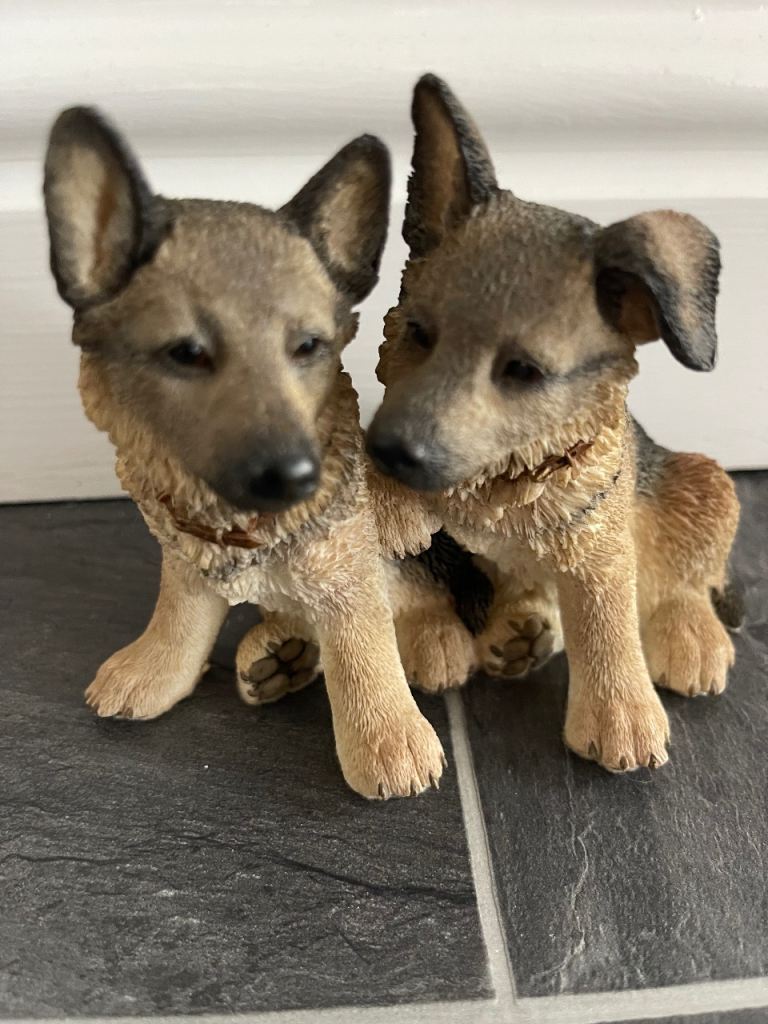 Barkers German Shepherd Pups 