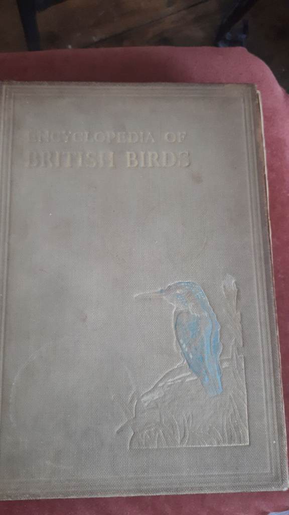 Vintage Encyclopedia of British Birds 