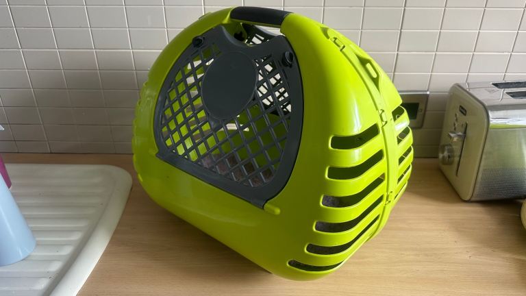 Cat box carrier green grey