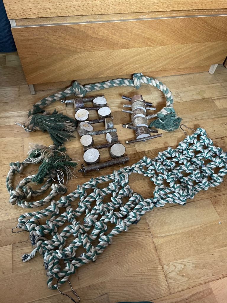 Job lot - Rat stuff!!