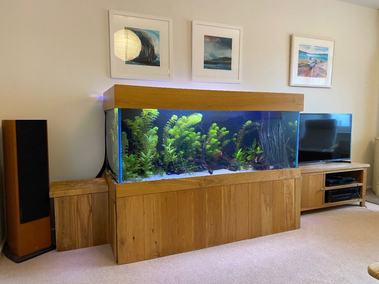Aquarium 5x2x2 ft. 450L. Oak frame. Fluval FX2 filter.  30 fish. 20 pcs bogwood. Plants. Fish tank