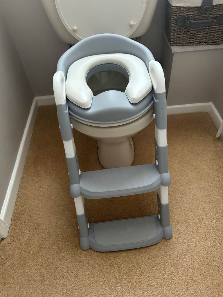 Childs toilet seat and step