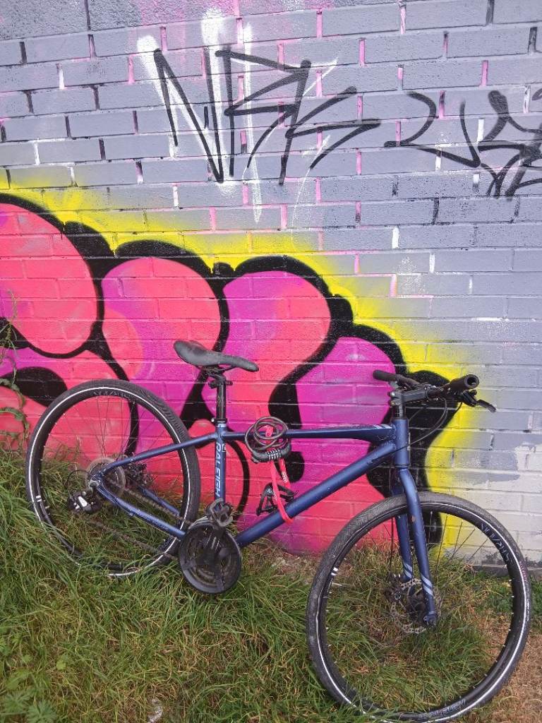 Raleigh bike