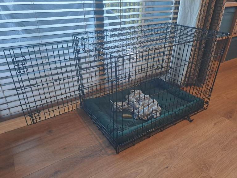 Medium sized pet crate with cover and mat