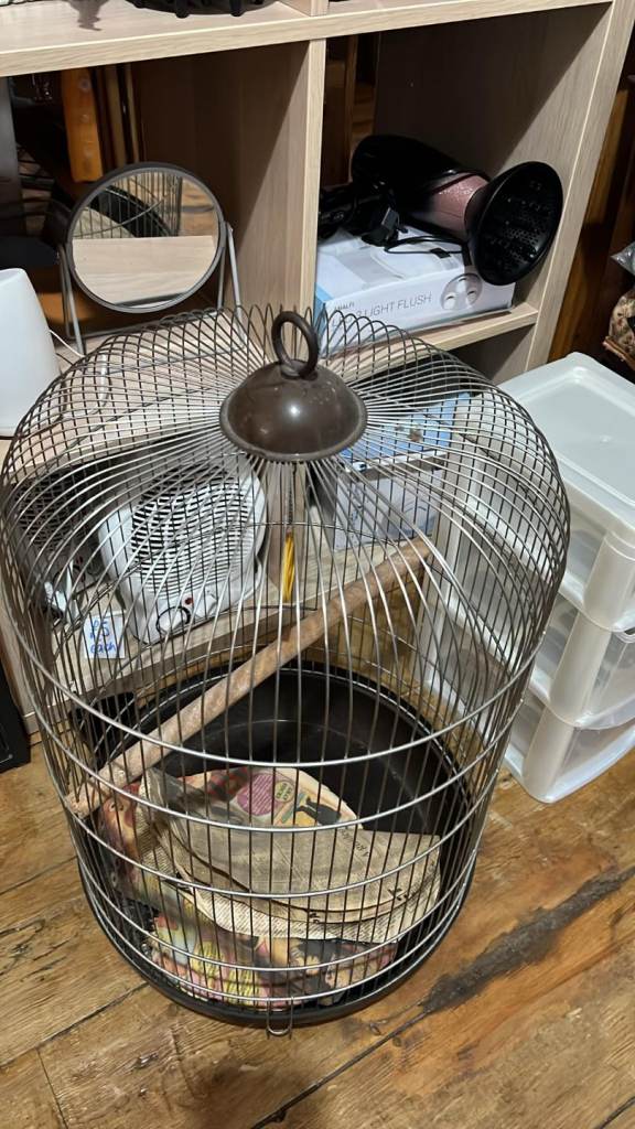 Oval bird cage or decorative piece 