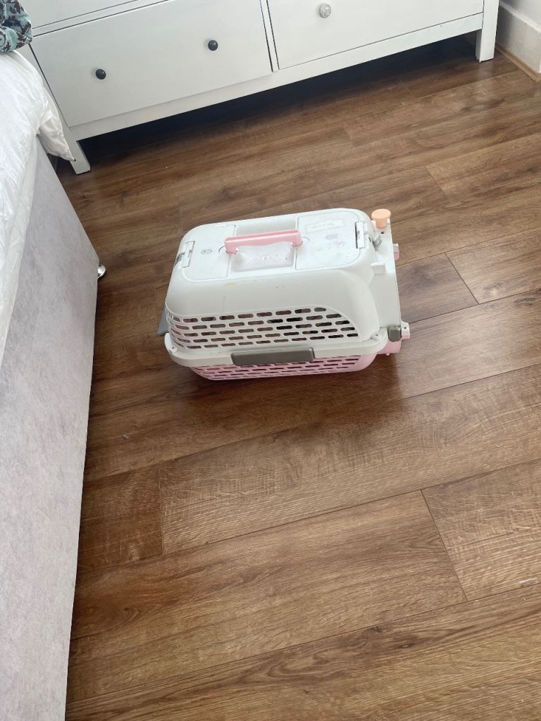 Cat carrier 