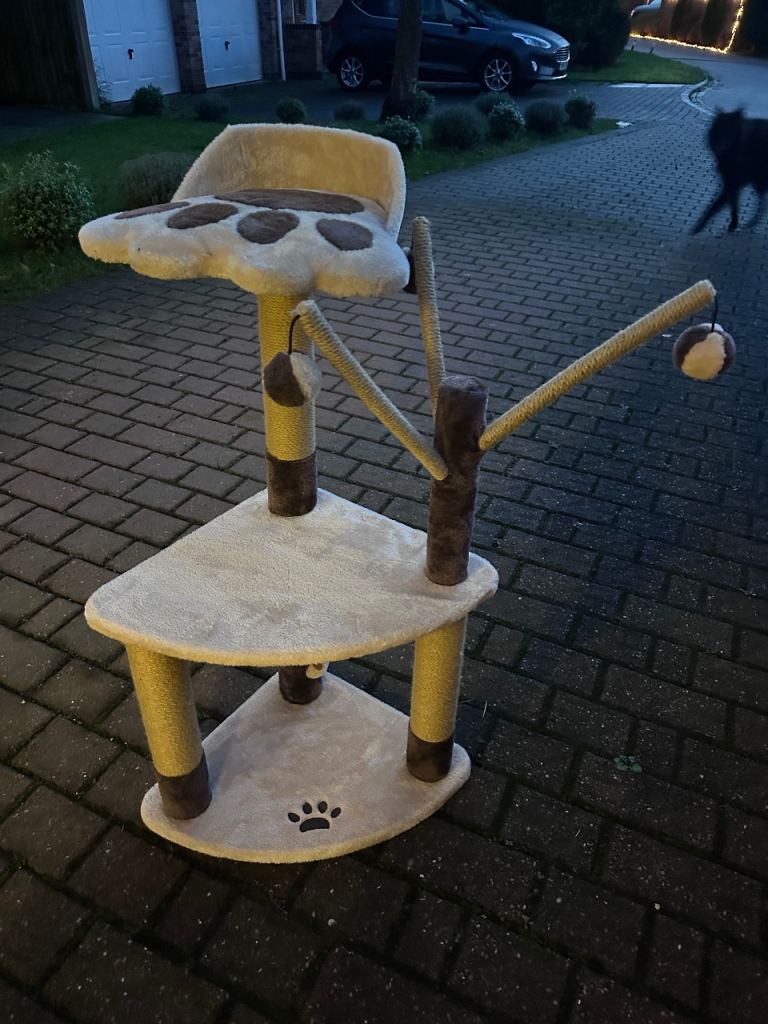 Cat tree - not used