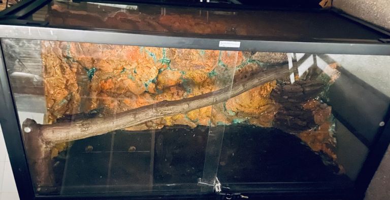 Large reptile vivarium