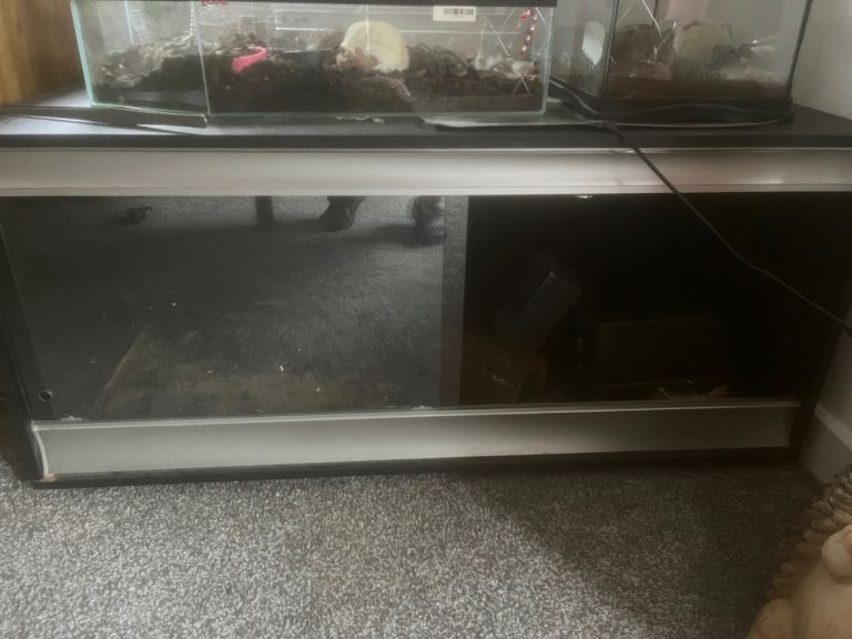 Vivexotic tank 