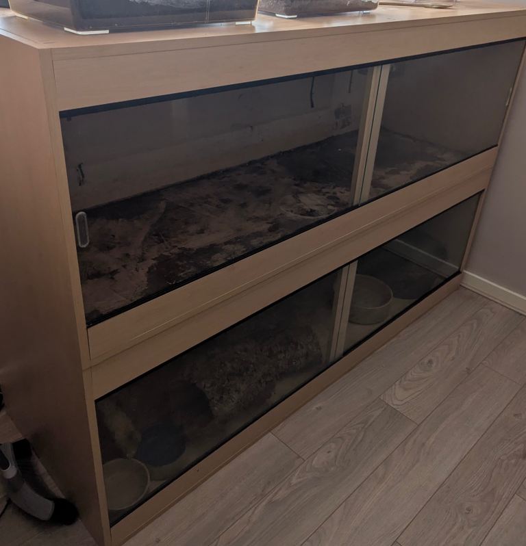 2 separate large vivariums 