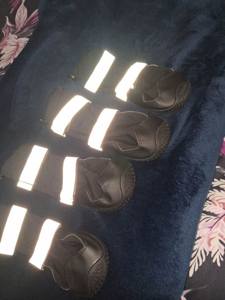 Dog boots/ shoes 