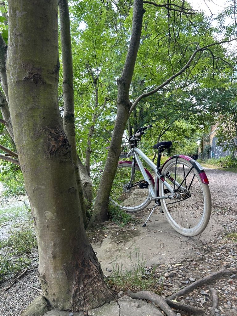 City Bike with Basket and Mudguards – Good Condition