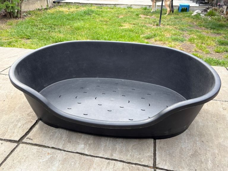 Large plastic dog bed