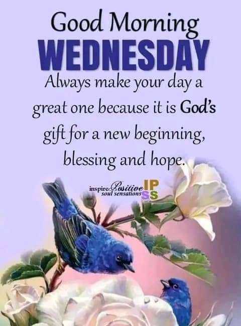 Fridge Freezer, Washing Machine And Generator Needed Please