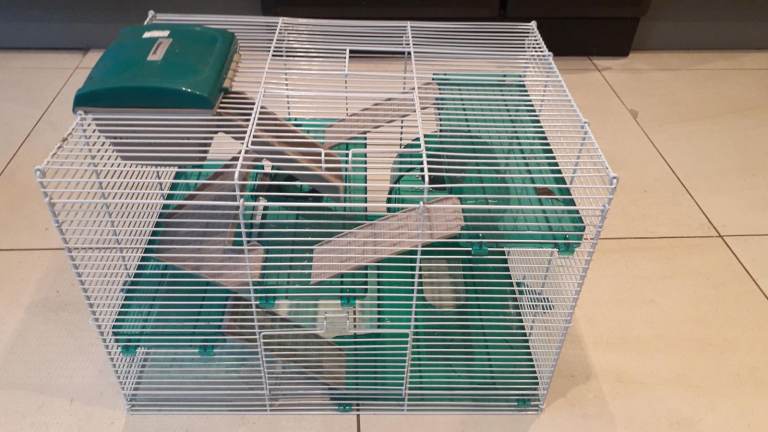 Hamster cage and accessories