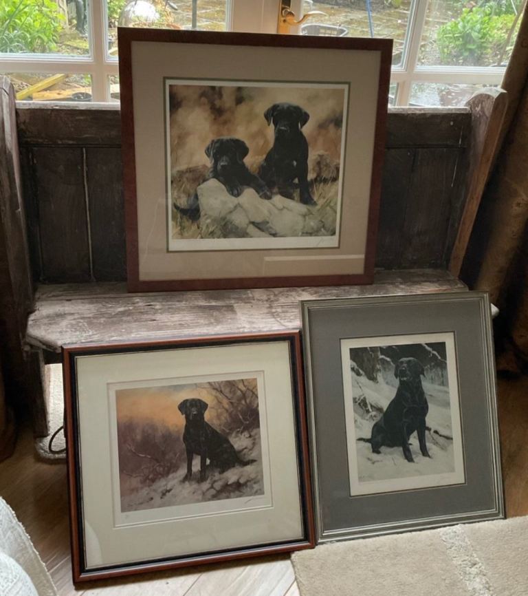 New listing - 3 John Trickett Labrador limited edition prints signed and individually numbered.