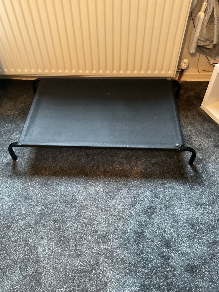 Off the floor dog bed 