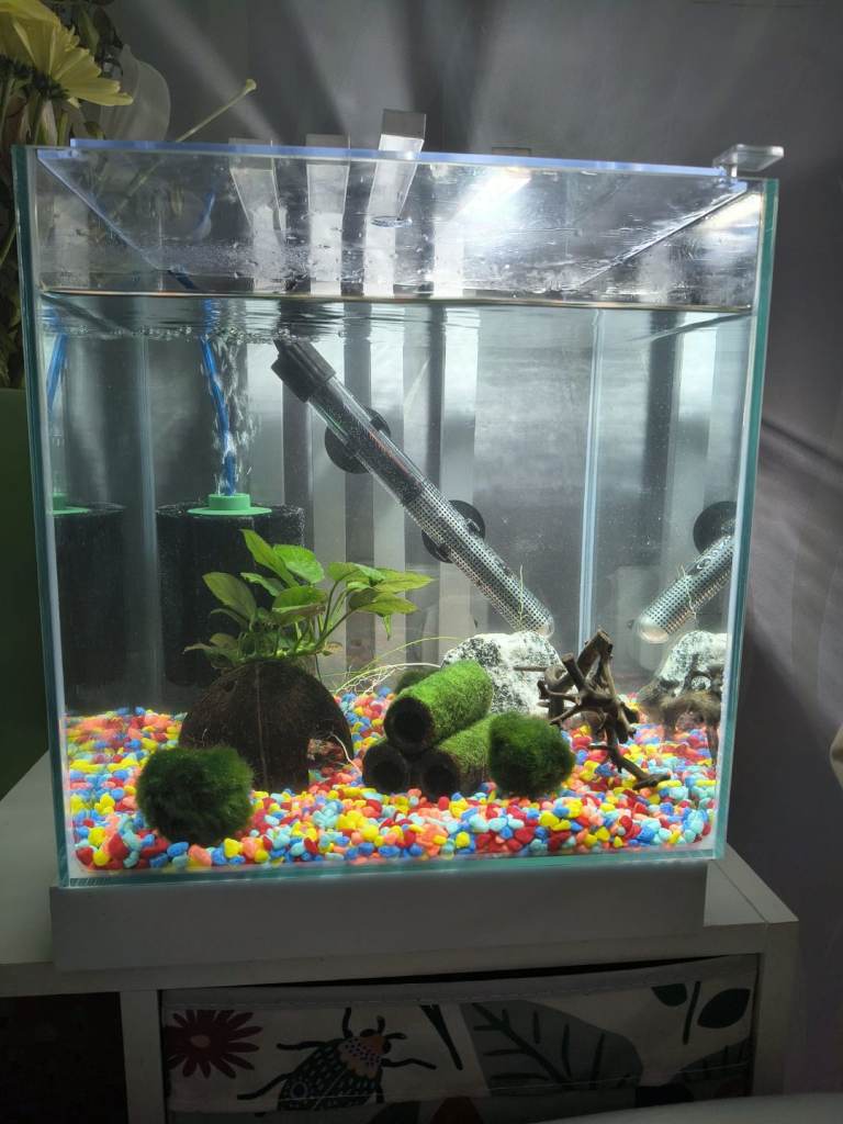 22L fish tank 