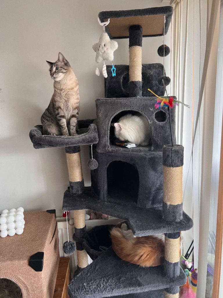 Solid cat tree 