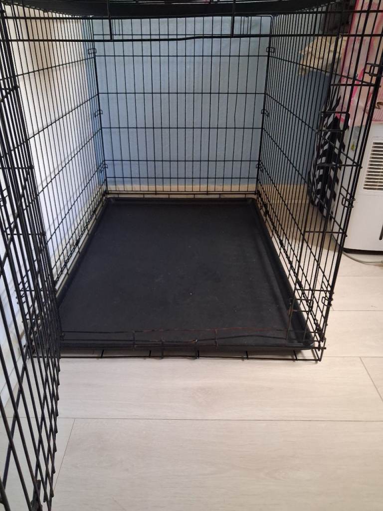 Dog Crate and Cone 