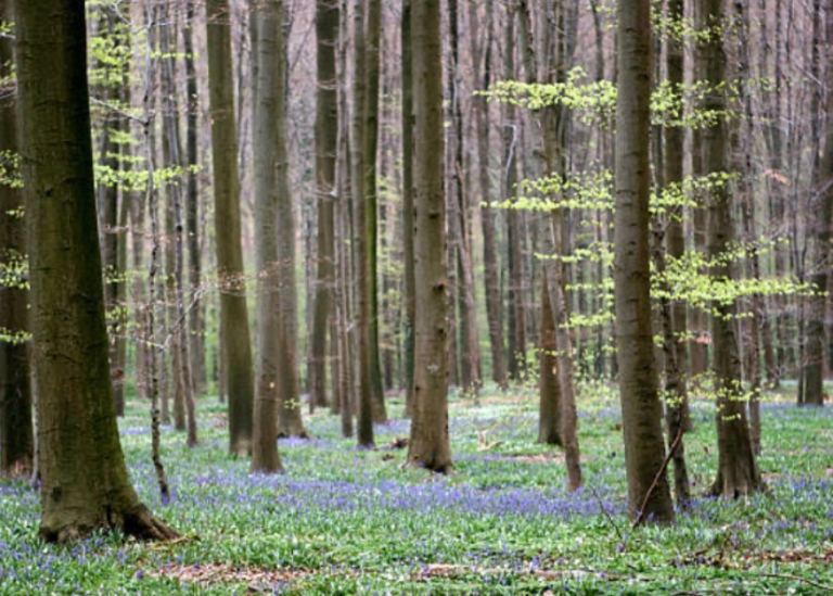 Private, Grounded Conversation for Men Who Carry a Lot