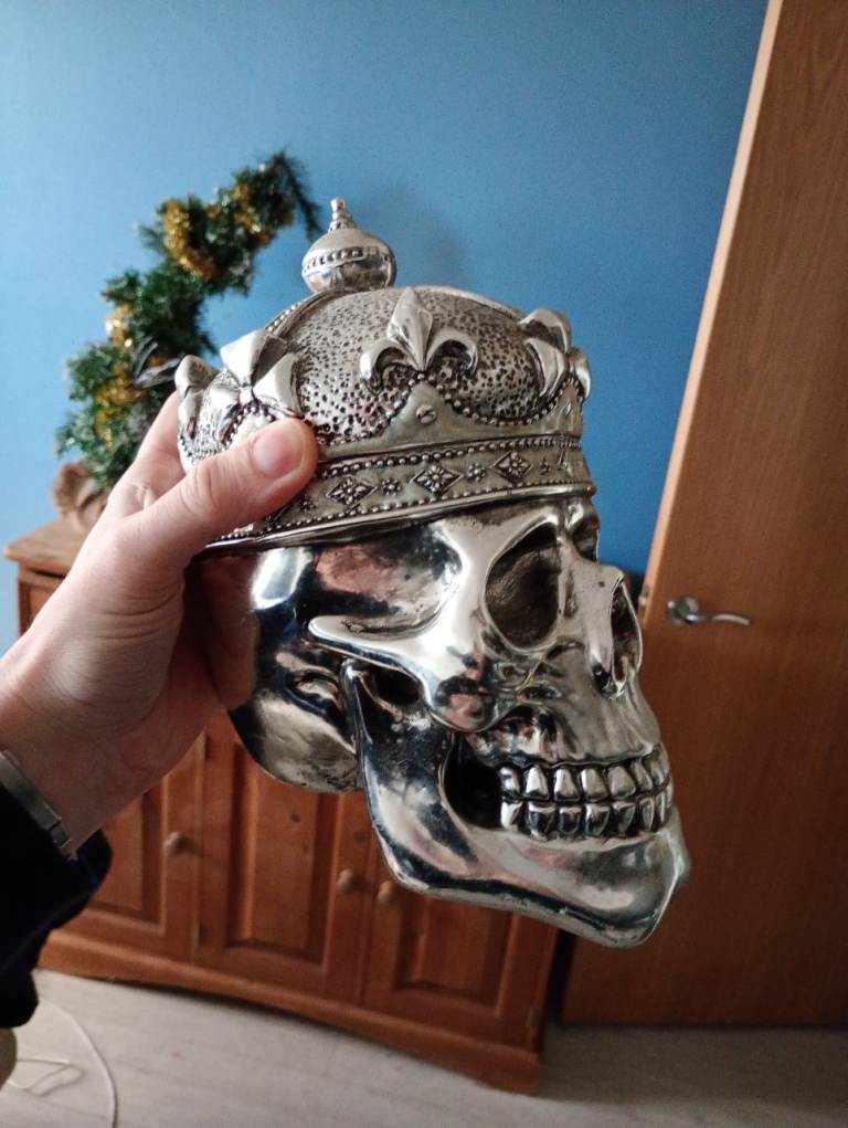 image for Skull ornament RRP £75 tk maxx