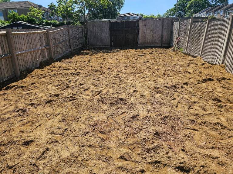 Sand - Free