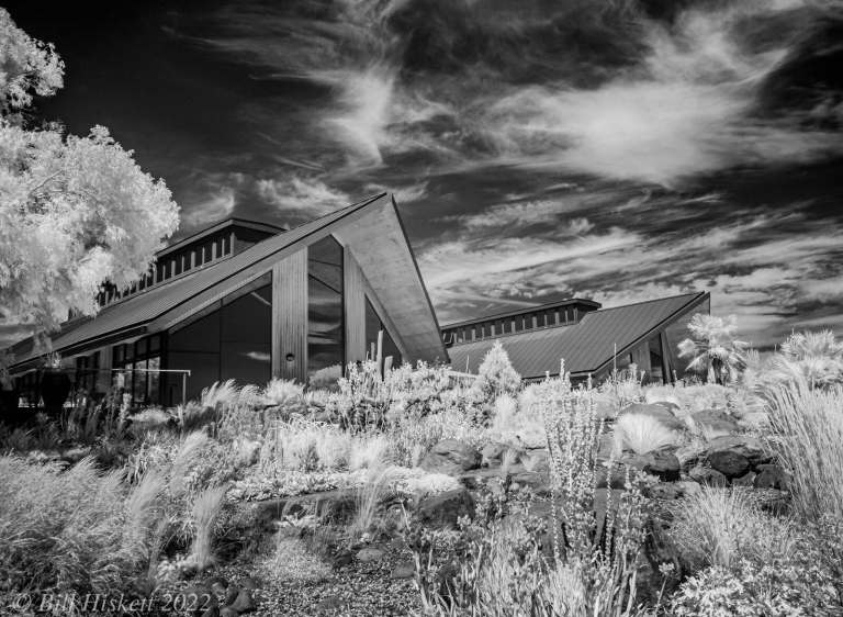 Panasonic G80 Full Spectrum Camera body for IR photography