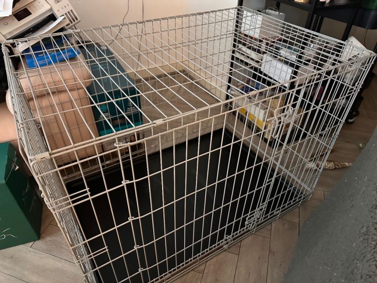Dog cage size Large