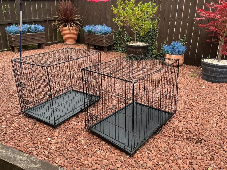 Medium dog cages.