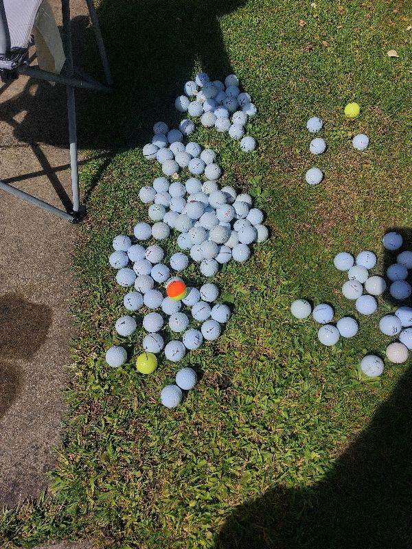 Golf balls (used) 134 total 