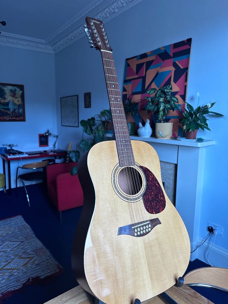 12-string acoustic guitar plus hard case.