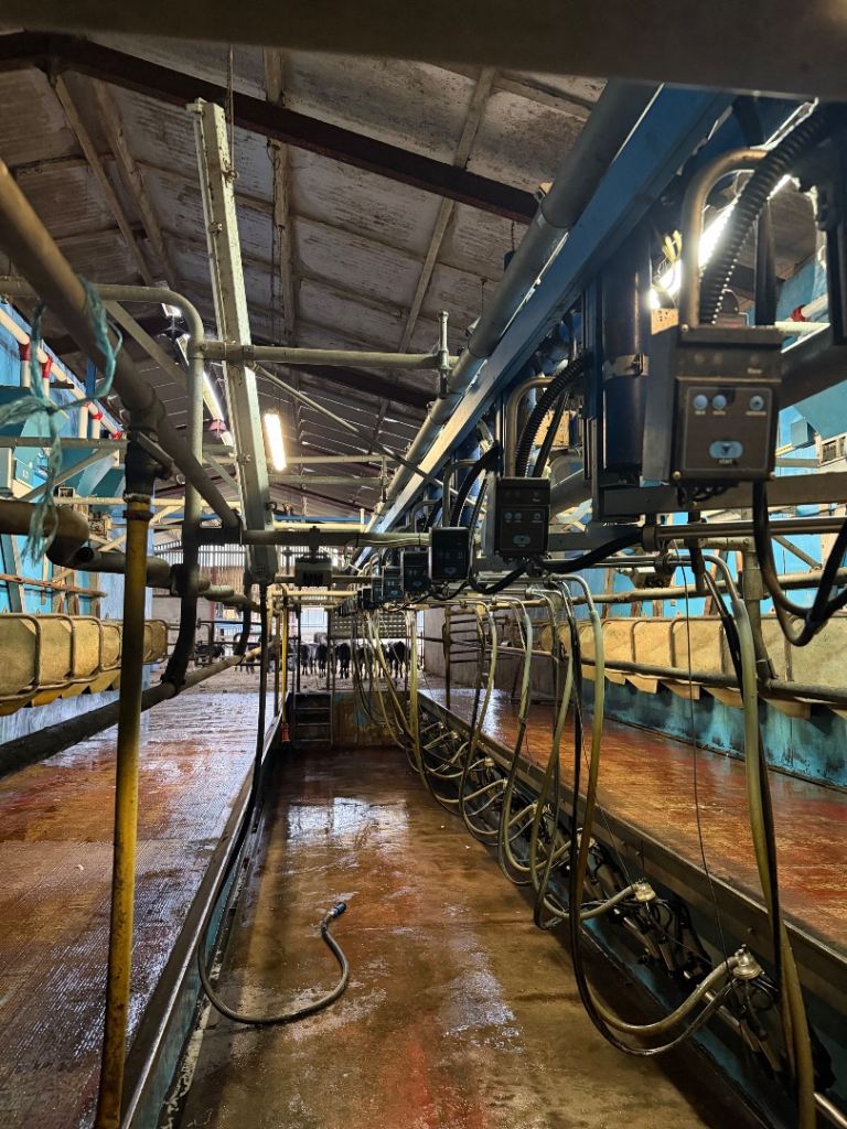 15/30 Delaval swing over milking parlour 