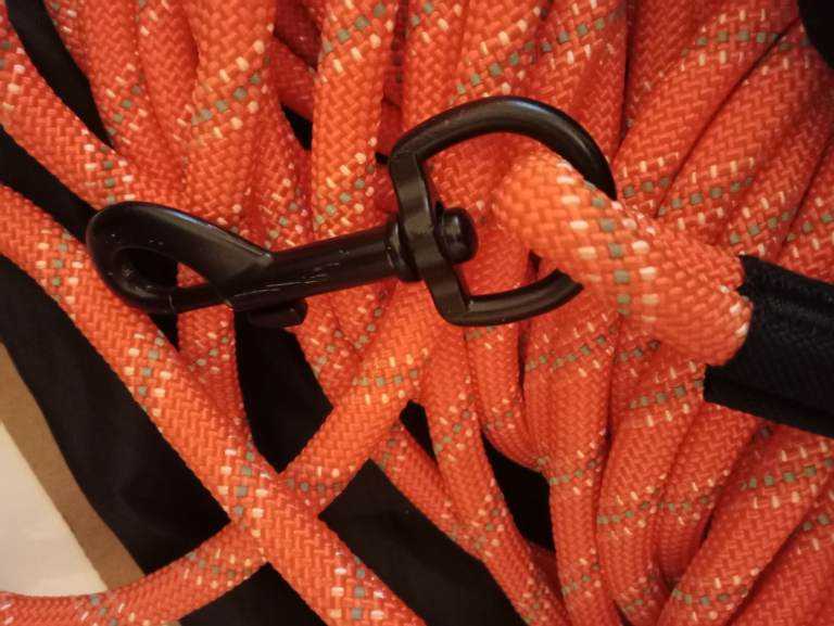 Taglory training lead