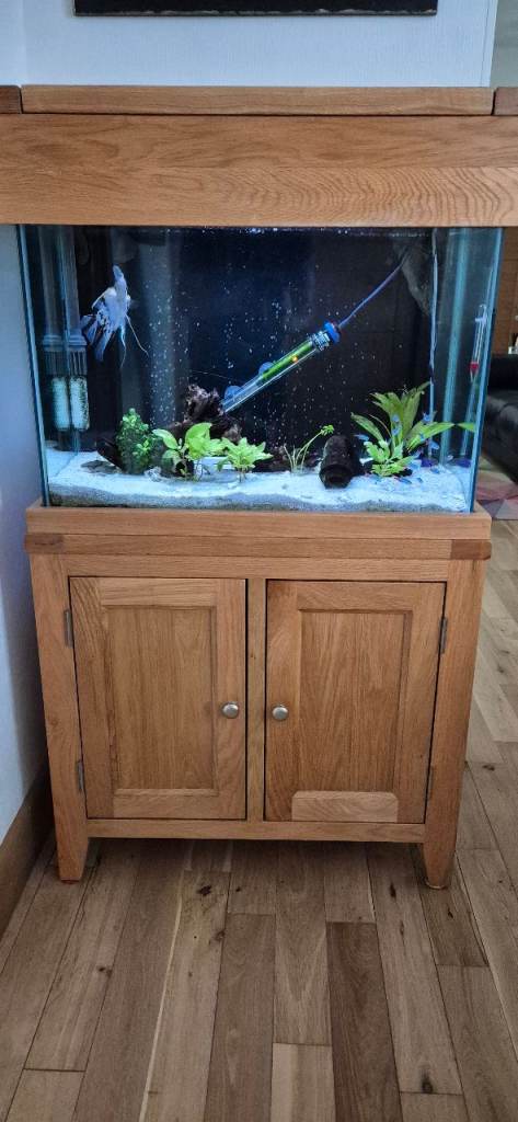 AquOak aquarium complete set up for sale.