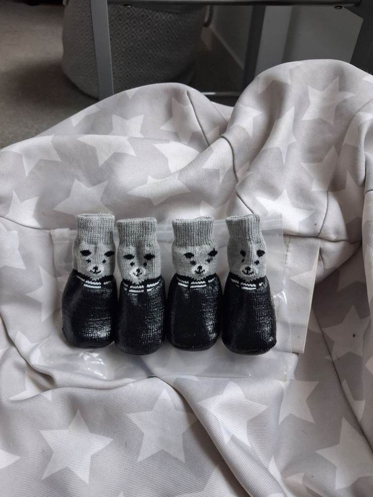 New dog sock/boot XS four socks £2.50