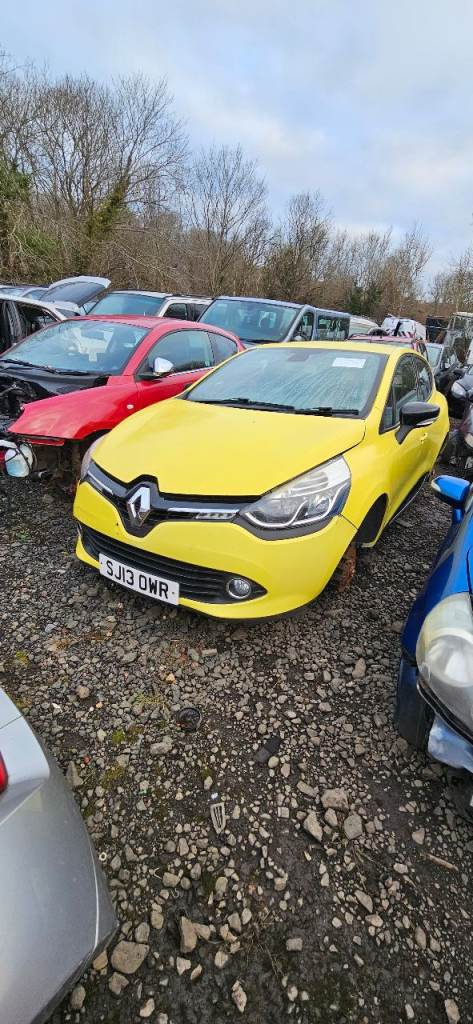 Renault clio 13 plate breaking 