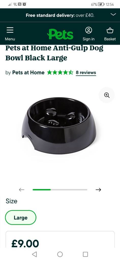 Anti gulp slow feeder bowl, large 