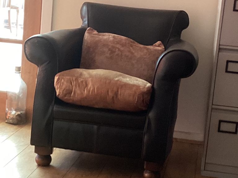 Hide Arm chair