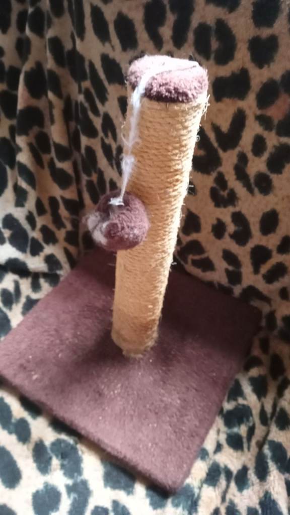 Cat straching post small size good condition £5