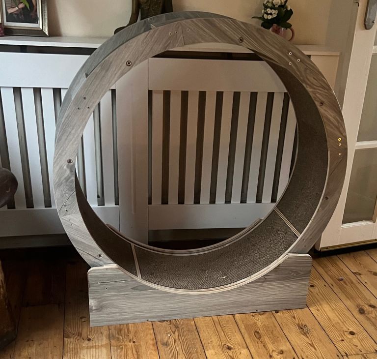 Cat exercise wheel 