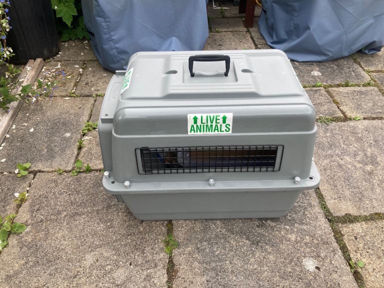 Small-Medium Dog Kennel/Carrier