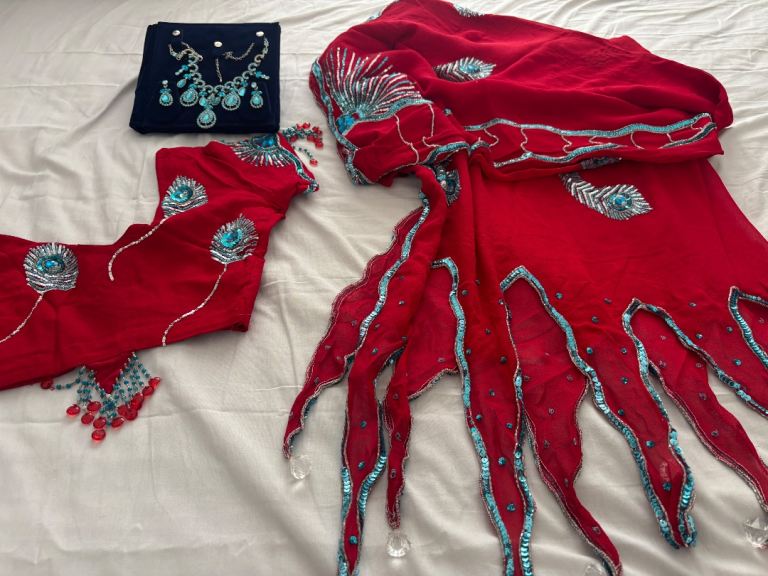 Indian Saree with embellishments
