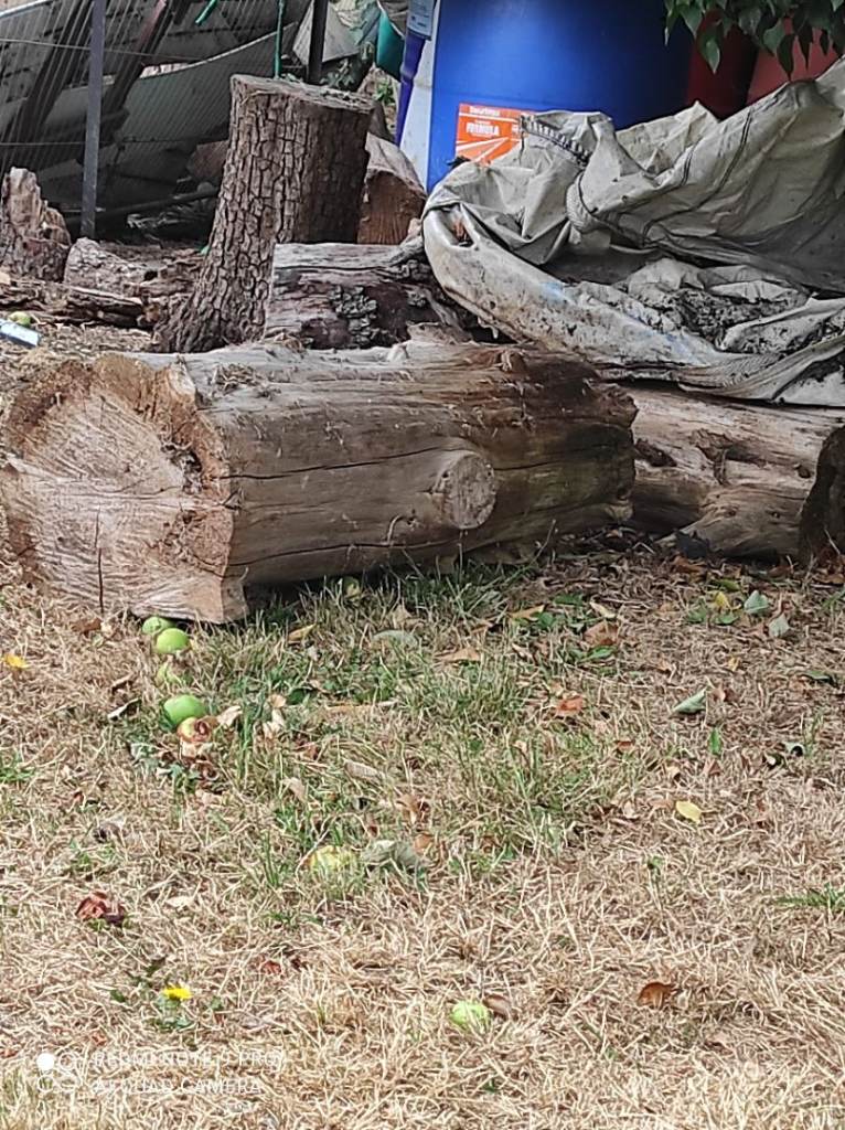 Dry/seasoned wood/logs  for wood burning stoves etc