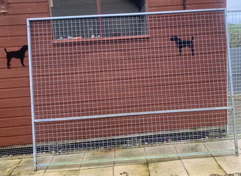 Galvanised panel for dog pen (8ft x 6ft)