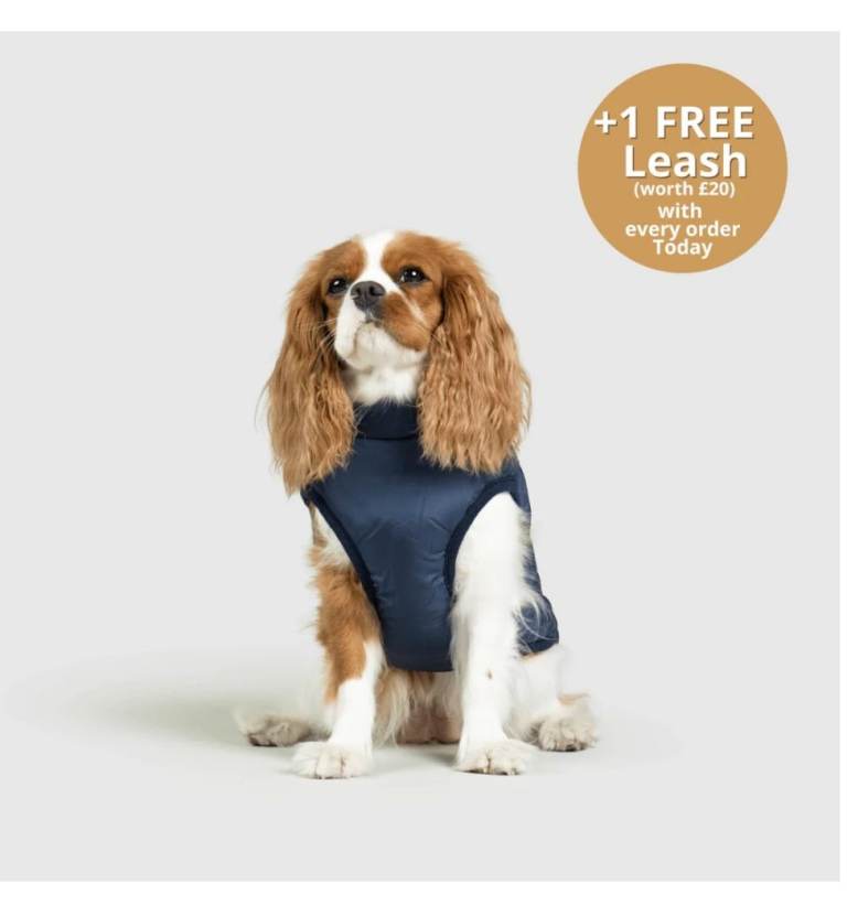 Doggy kings harness coat