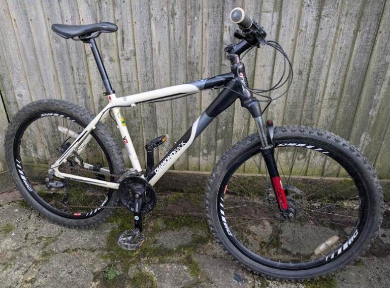 Mens Large Mountain Bike