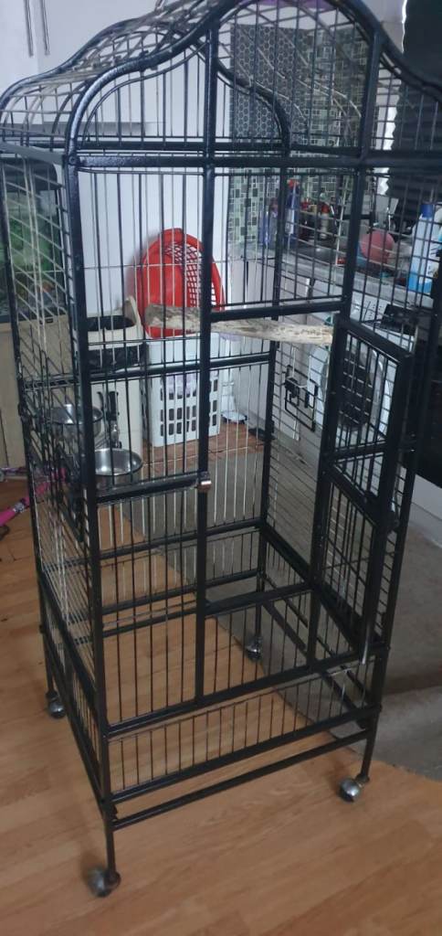 5ft black birdcage 