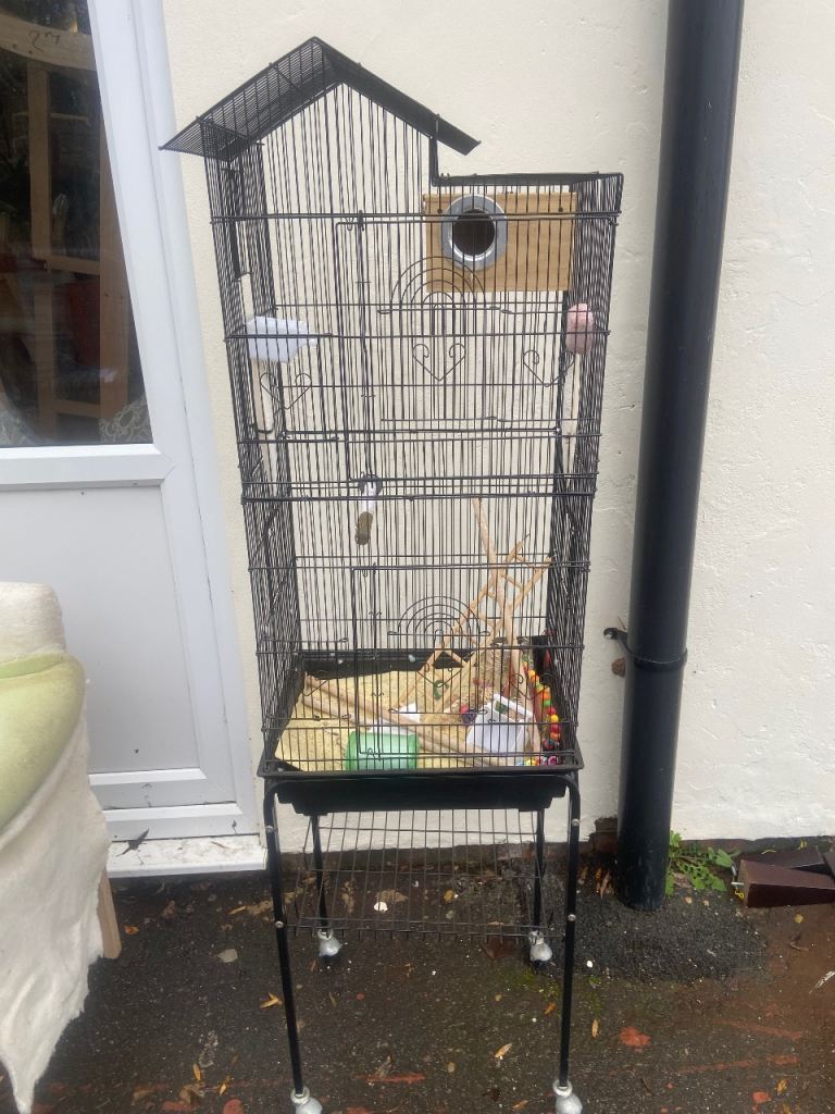 Bird cage for sale 